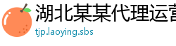 湖北某某代理运营部